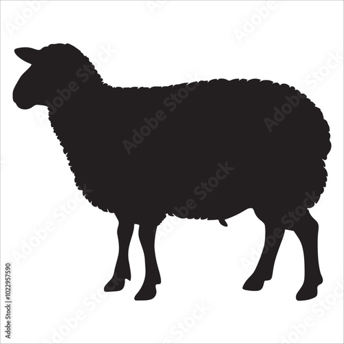 sheep Silhouette