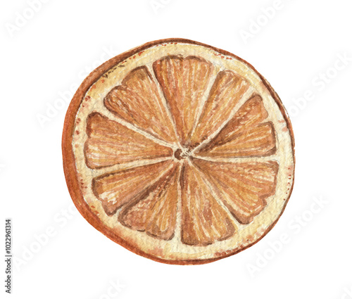 Dried orange slice eco-friendly Christmas decor. Hand drawn watercolor winter illustration of home decorations. Seasonal isolated drawing for tradition Xmas graphic and greeting card designs.