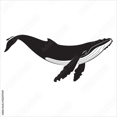 Whale Silhouette 