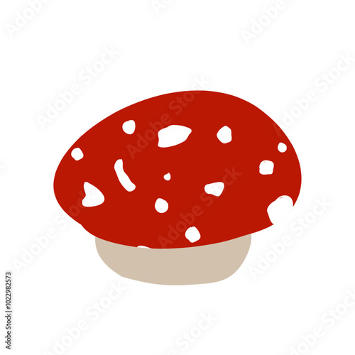 Small fly agaric mushroom with red cap and white dots, Amanita muscaria mushroom, cartoon vector isolated illustration.