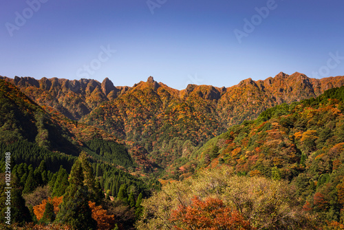祖母山紅葉