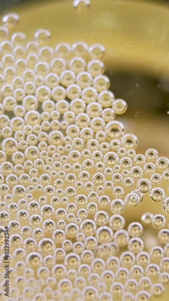 Bubbles in champagne create patterns in glasses. Bubbles reflect light, making things sparkle. A party makes people happy Bubbles in champagne create patterns in glasses. Bubbles reflect light, making things sparkle. A party makes people happy