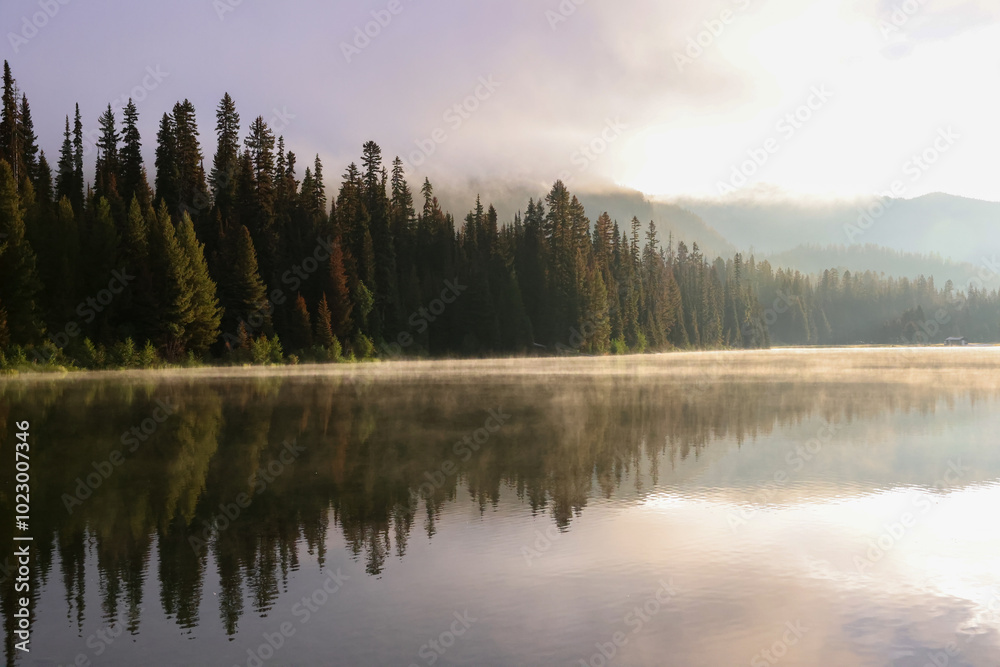 the steaming lightning lake in British Columbia in the early morning sunlight, while the forest is reflected in the calm water surface the steaming lightning lake in British Columbia in the early morning sunlight, while the forest is reflected in the calm water surface