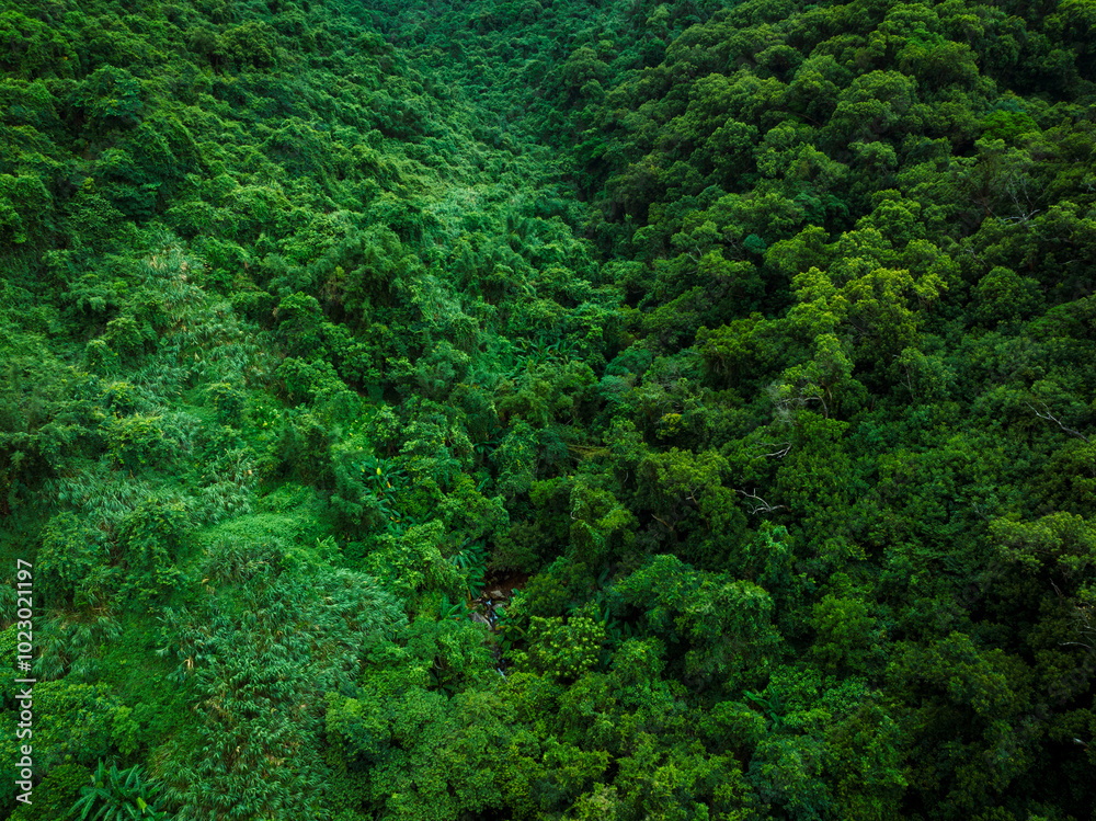 Aerial view of beautiful tropical forest mountain landscape in summer Aerial view of beautiful tropical forest mountain landscape in summer