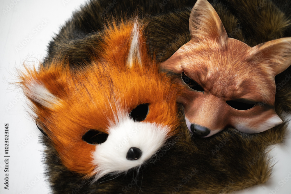 Masks and fox tail, quad bike, youth direction. Masks and fox tail, quad bike, youth direction.