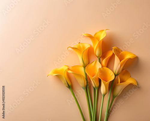 A bouquet of vibrant yellow calla lilies arranged gracefully against a peach background, symbolizing beauty and elegance with its simple yet striking design. photo