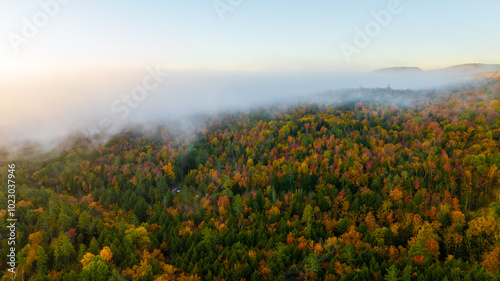 Aerial view of a sunrise over a forested mountain landscape, with dense mist and clouds creating a golden, ethereal atmosphere, showcasing the beauty of nature during early morning.