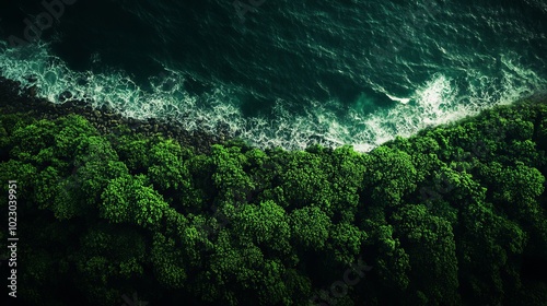 An aerial view captures the striking contrast between a lush dark green forest and the shimmering blue sea below