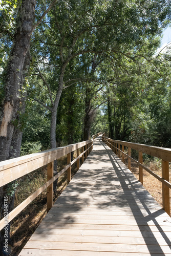 Beautiful boardwalk in Pombal