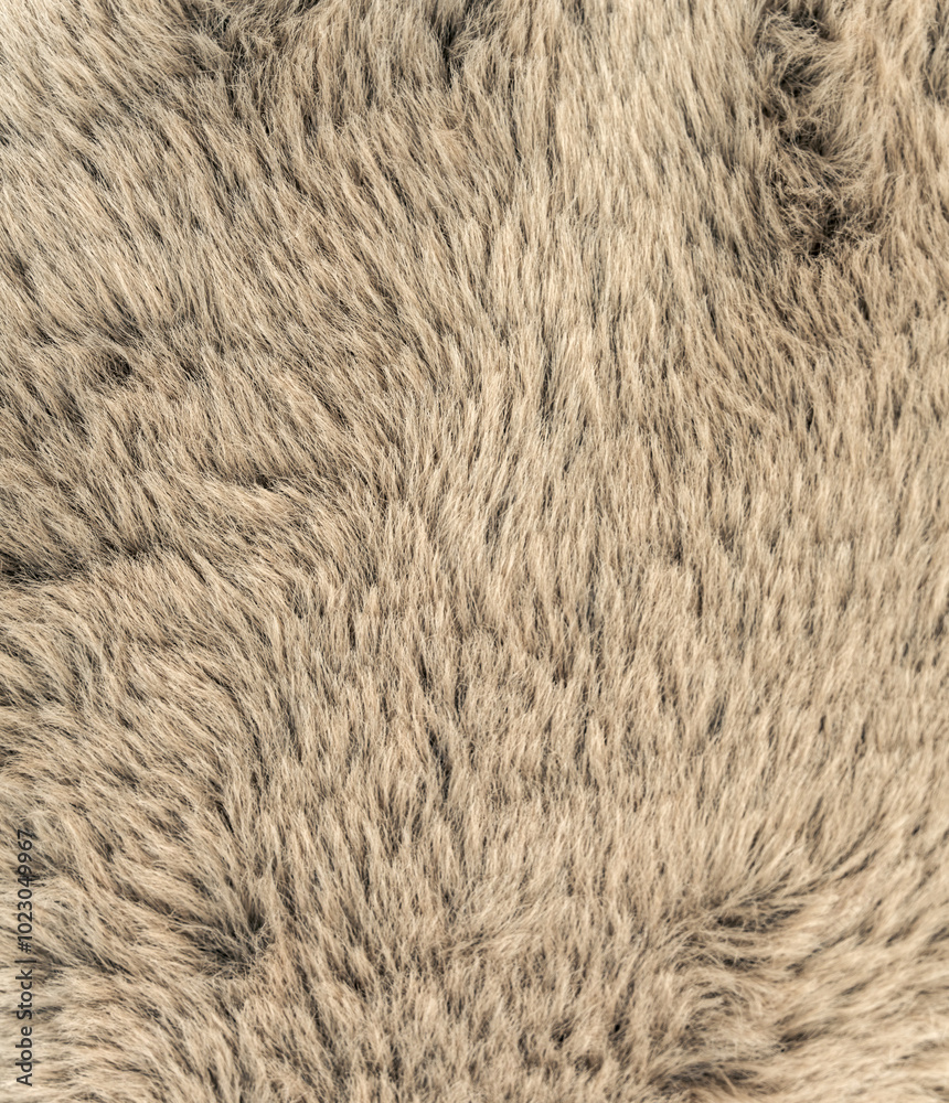 Fototapeta premium Luxurious wool. Fur fabric. Fur texture.