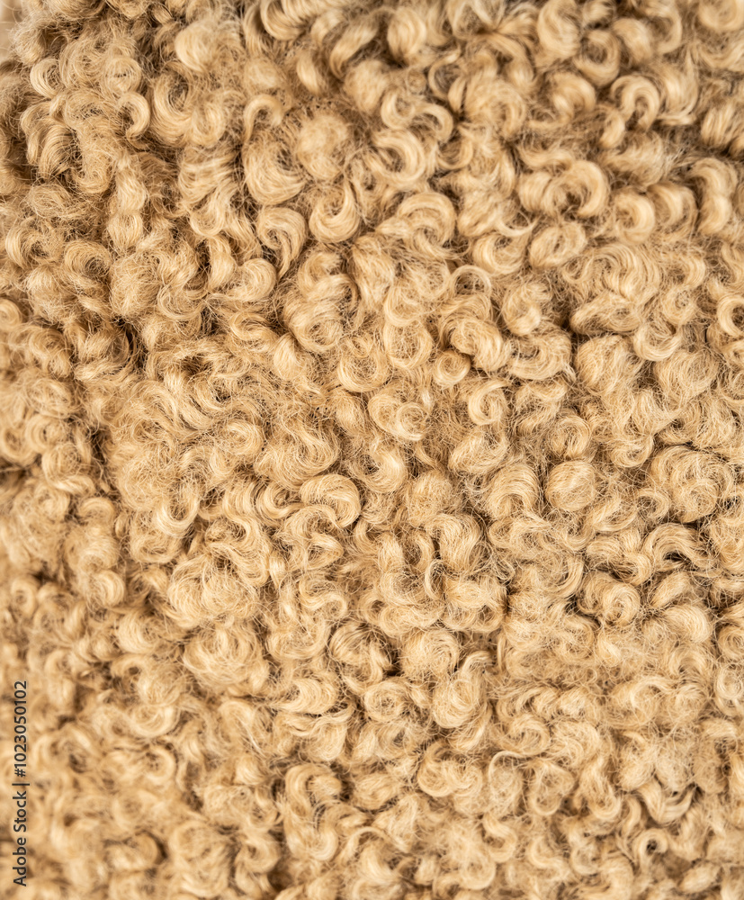 Wool fabric. Sheep wool. Camel wool. Wool fabric. Sheep wool. Camel wool.