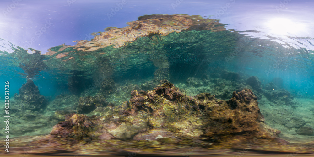 Obraz premium A detailed 360-degree view of underwater coral formations with sunlight shining from above, creating a bright and colorful marine scene. The rocky structures enhance the natural beauty of the reef.