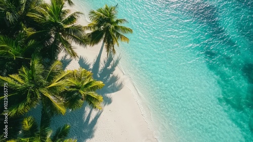 Tranquil Turquoise Waters and Palm Trees