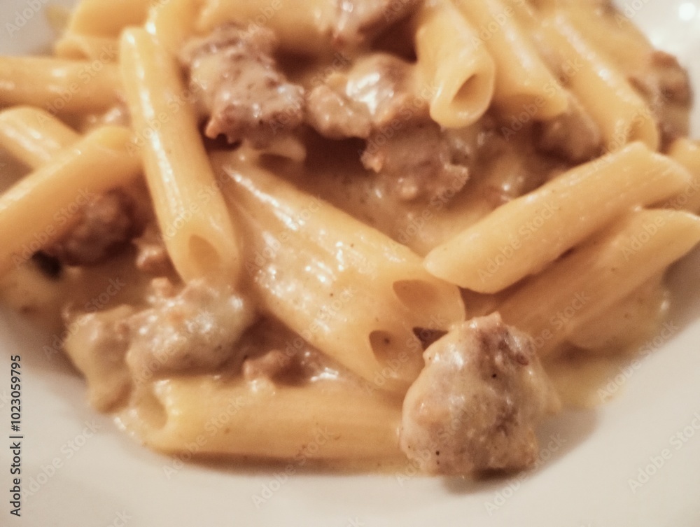 short pasta with sausage and cheese sauce. Italian cuisine