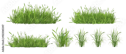 grass vector png transparent background