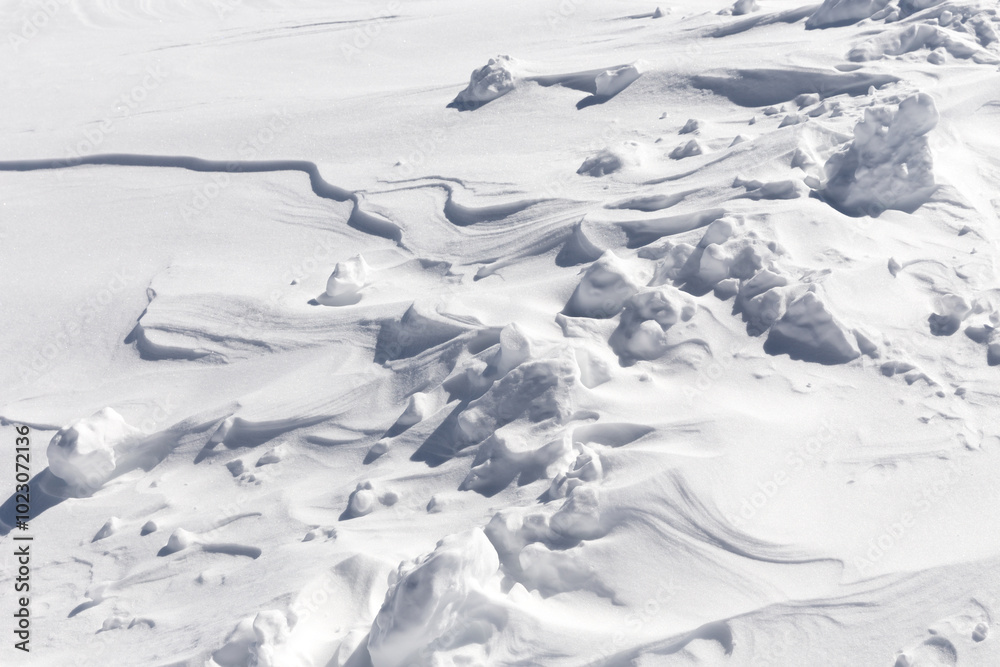 Fragment of fresh snow Fragment of fresh snow