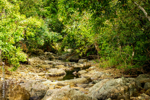 Beautiful view of the rough riverbed of a small stream flowing through the forest and wildlife reserve in Vallée de Ferney, Mauritius