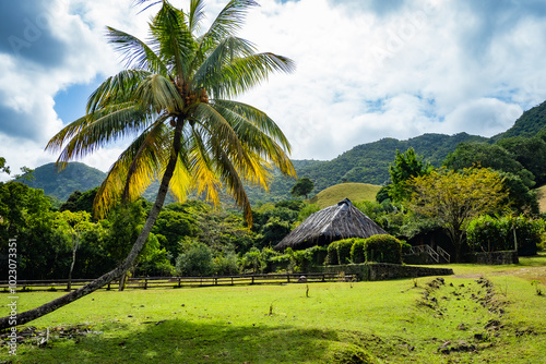 Beautiful view of the Aldabra giant tortoise (Aldabrachelys gigantea) enclosure in the Vallée de Ferney Forest and Wildlife Reserve, Mauritius