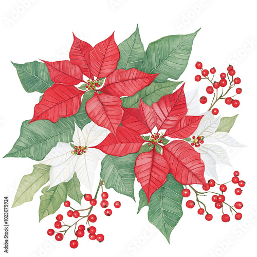 Vibrant Poinsettia Flowers and Red Berries Creating a Festive Holiday Arrangement for Seasonal Decor