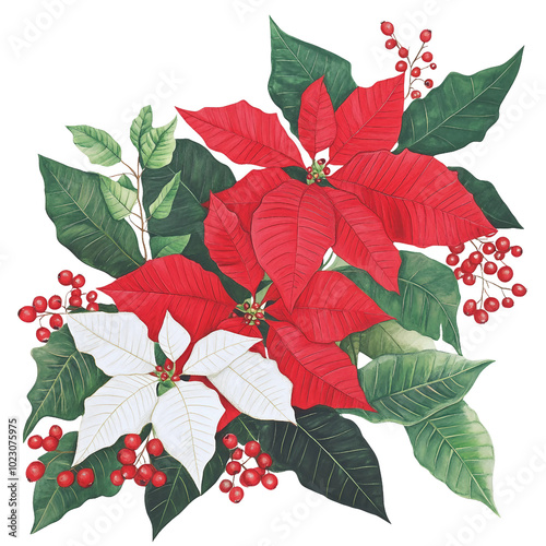 Vibrant Poinsettia Flowers and Red Berries Creating a Festive Holiday Arrangement for Seasonal Decor
