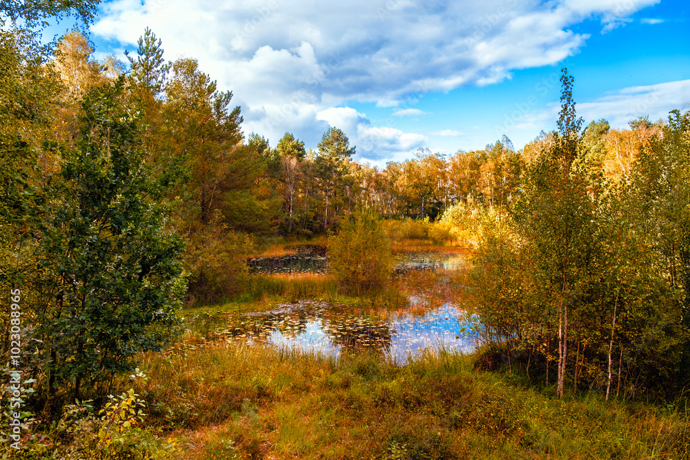 Autumn landscape with a small pond surrounded by trees. Autumn landscape with a small pond surrounded by trees.