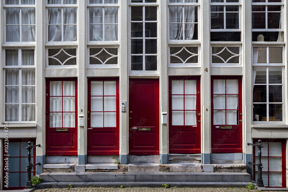 Naklejka premium AMSTERDAM DOORS, STREET, VISUAL GAME, MULTIPLE ENTRY