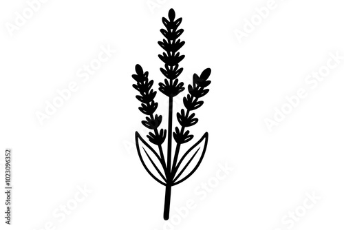 French LLavender Silhouette Vector Illustrationavender Field Silhouette Vector Illustration