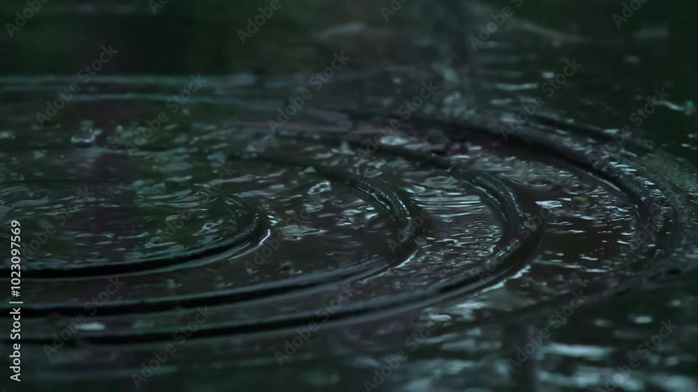 Raindrops on the Sidewalk. Drops of rain fall on the granite pavement and cast-iron hatch