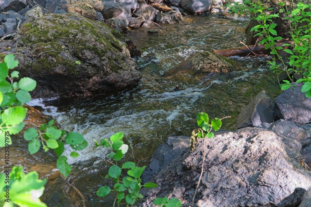 Karelia, Russia, July 10, 2024. Boulders on a mountain river. Karelia, Russia, July 10, 2024. Boulders on a mountain river.