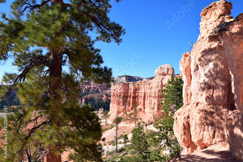 Bryce canyon
