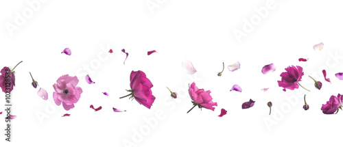 falling flowers png transparent background