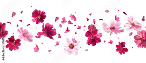 falling flowers png transparent background