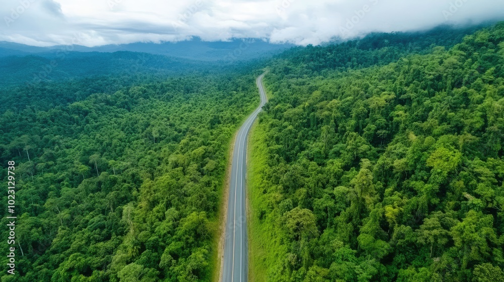 Scenic aerial view of a winding road through lush green forest ...