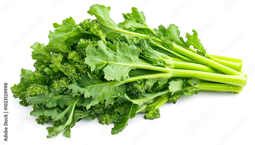 a bunch of green celery
a bunch of green celery