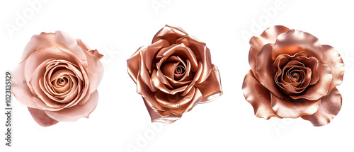 rose gold flowers png transparent background