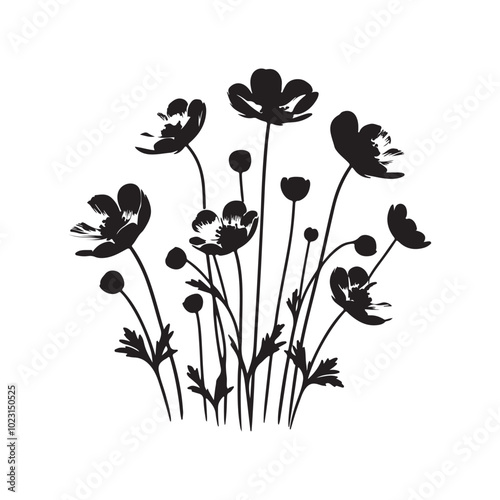 a silhouette of birch tree vector design 