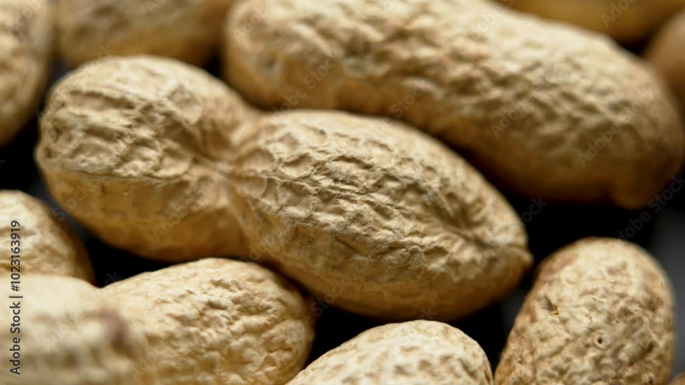 Organic Unshelled Peanuts with Brown Textured Shell. Macro View. Rotation Organic Unshelled Peanuts with Brown Textured Shell. Macro View. Rotation