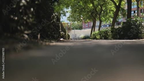 View from below. Cyclists ride in the park in the background. Slow Motions. 4K