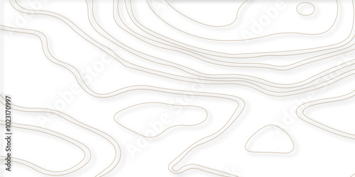 Seamless pattern with lines White wave paper curved reliefs abstract background, Abstract topographic contours map background. Topographic map background geographic line map with elevation assignments