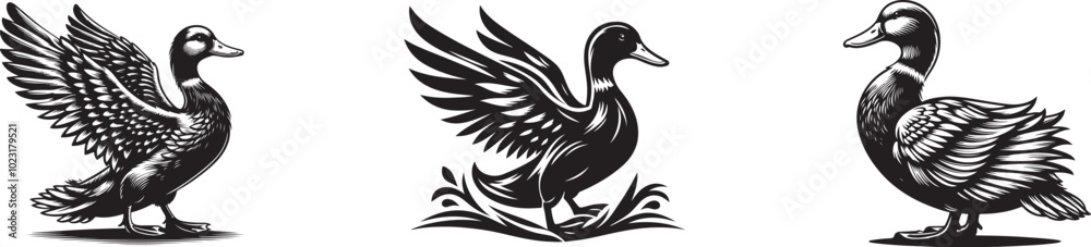 Fototapeta premium Vector Duck Icon set - Clean Flat Design Illustration.