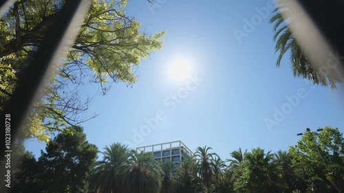 Beautiful View of Blue Sky with Sun. With Palms and Green Trees. Slow Motions. 4K