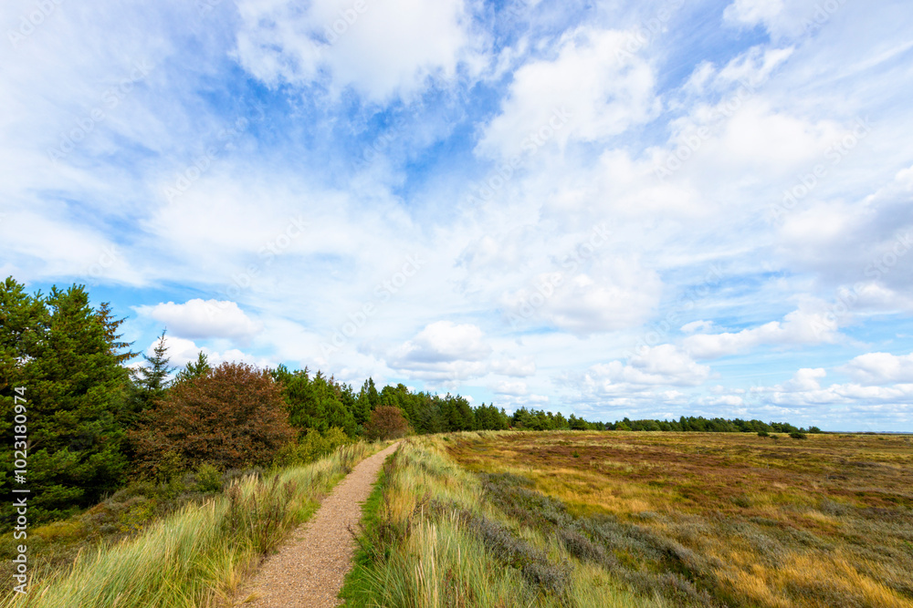 Heath landscape on the North Sea island of Rømø, Denmark Heath landscape on the North Sea island of Rømø, Denmark