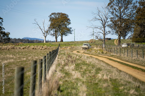 driving down a dirt road gravel road in outback australia in a ute truck on a farm by a wire fence photo