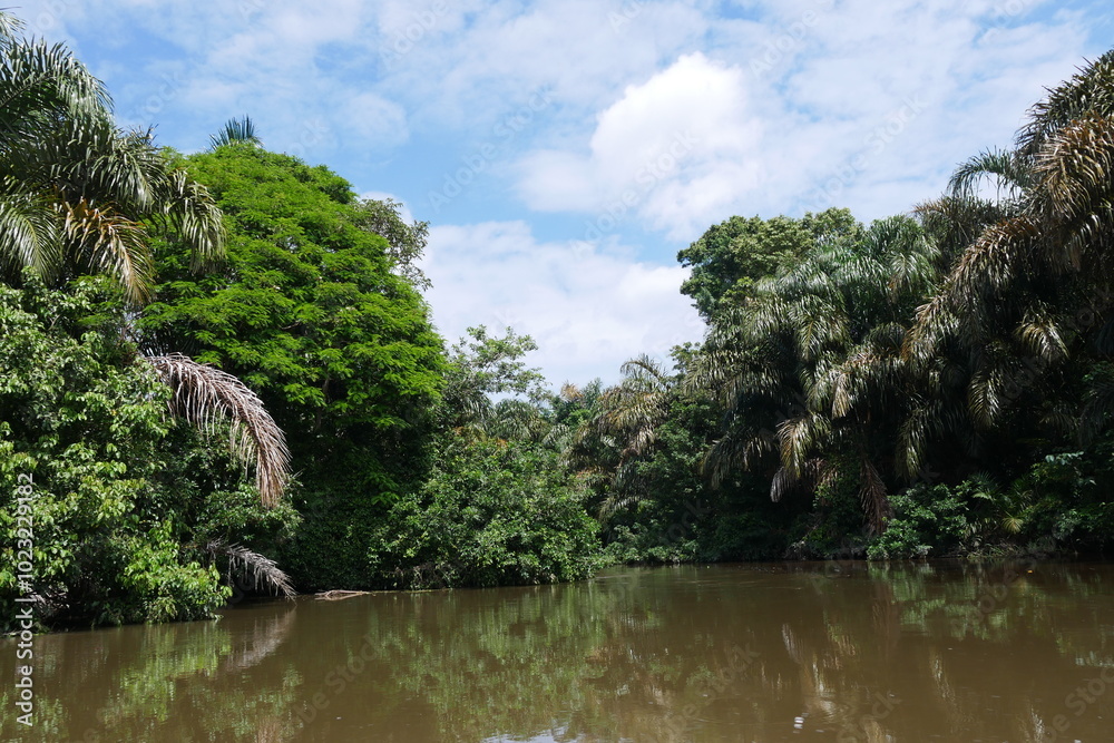Tropische wilde Wasserlandschaft in Costa Rica in Mittelamerika Tropische wilde Wasserlandschaft in Costa Rica in Mittelamerika