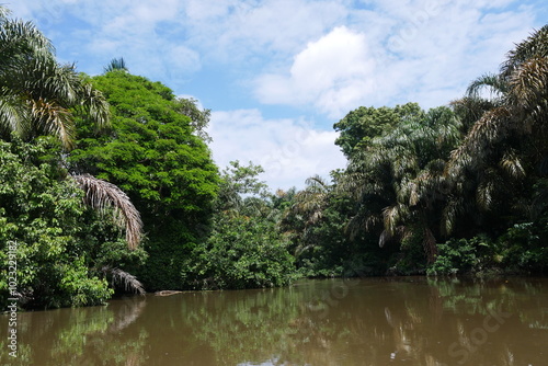 Tropische wilde Wasserlandschaft in Costa Rica in Mittelamerika