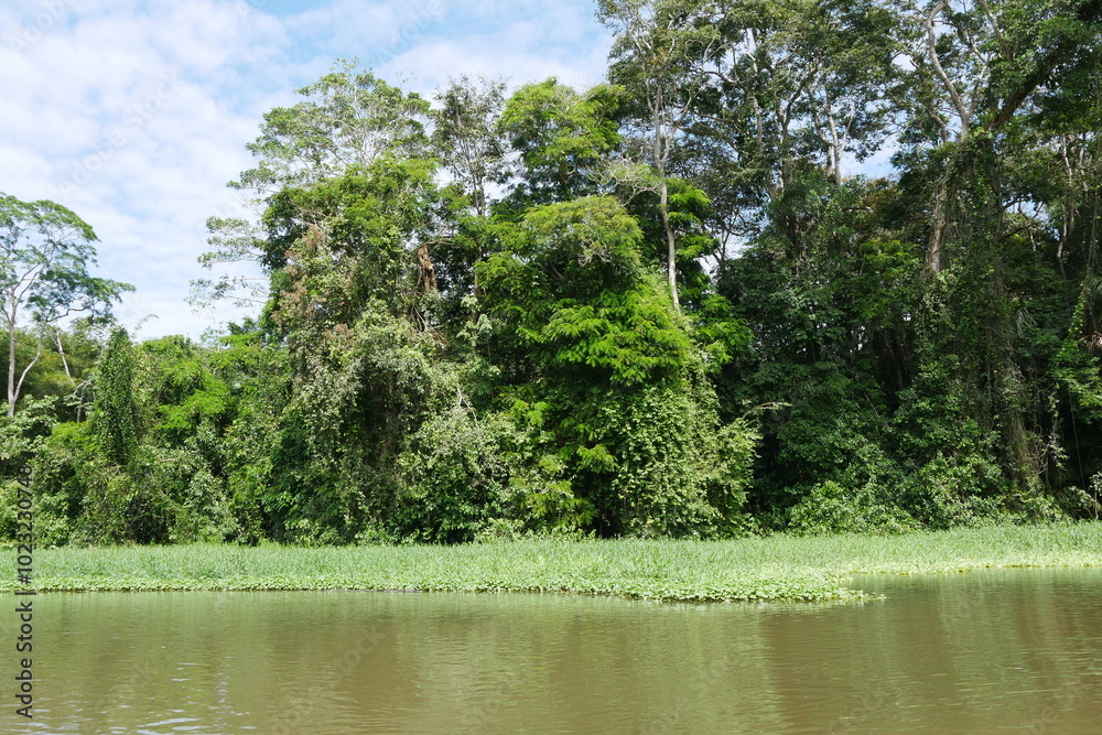 Tropische Wasserlandschaft bei Tortuguero in Costa Rica Tropische Wasserlandschaft bei Tortuguero in Costa Rica