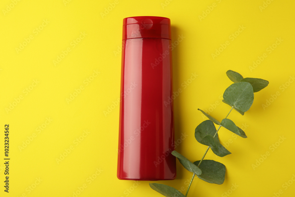 Φωτογραφία Bottle of shampoo and eucalyptus branch on yellow background, flat lay