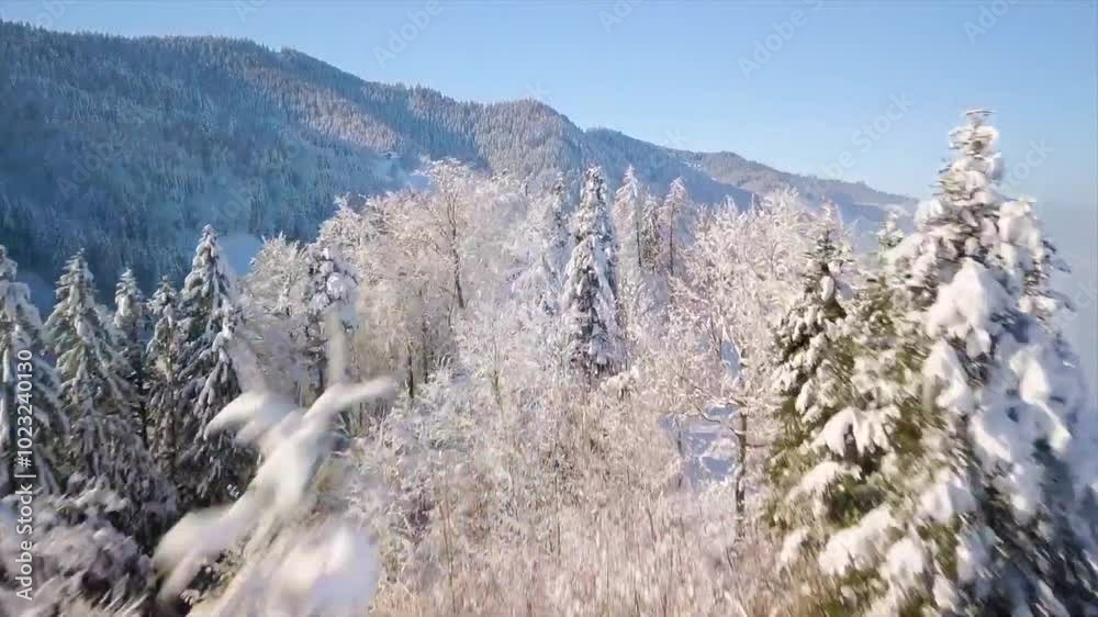 snow winter aerial drone landscape view, alaska ice forest snow winter aerial drone landscape view, alaska ice forest