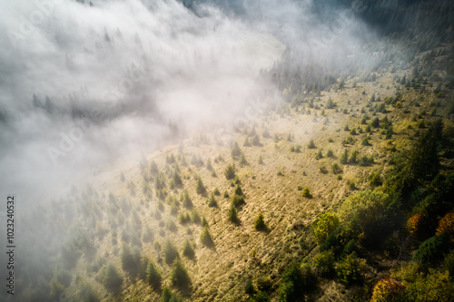 Sunlight filters through morning mist, casting gentle glow on evergreen forest. Fog dances among trees, creating enchanting and serene atmosphere, perfect for tranquil escape. Aerial view.