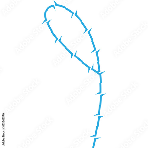 Aesthetic Barbed Wire Decorative Frame Icon Element